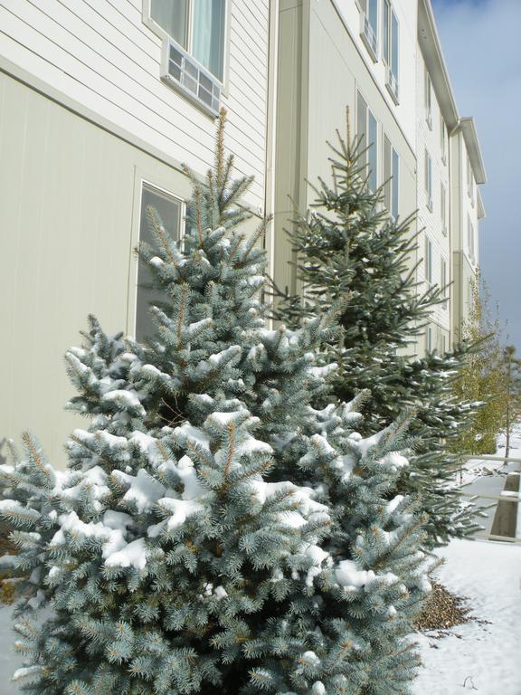Bakken Airport Xwa Hotel & Studios ويليستون المظهر الخارجي الصورة